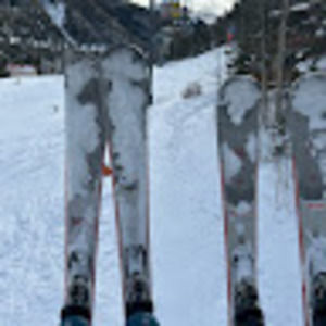 Meet your Posher, Brynn